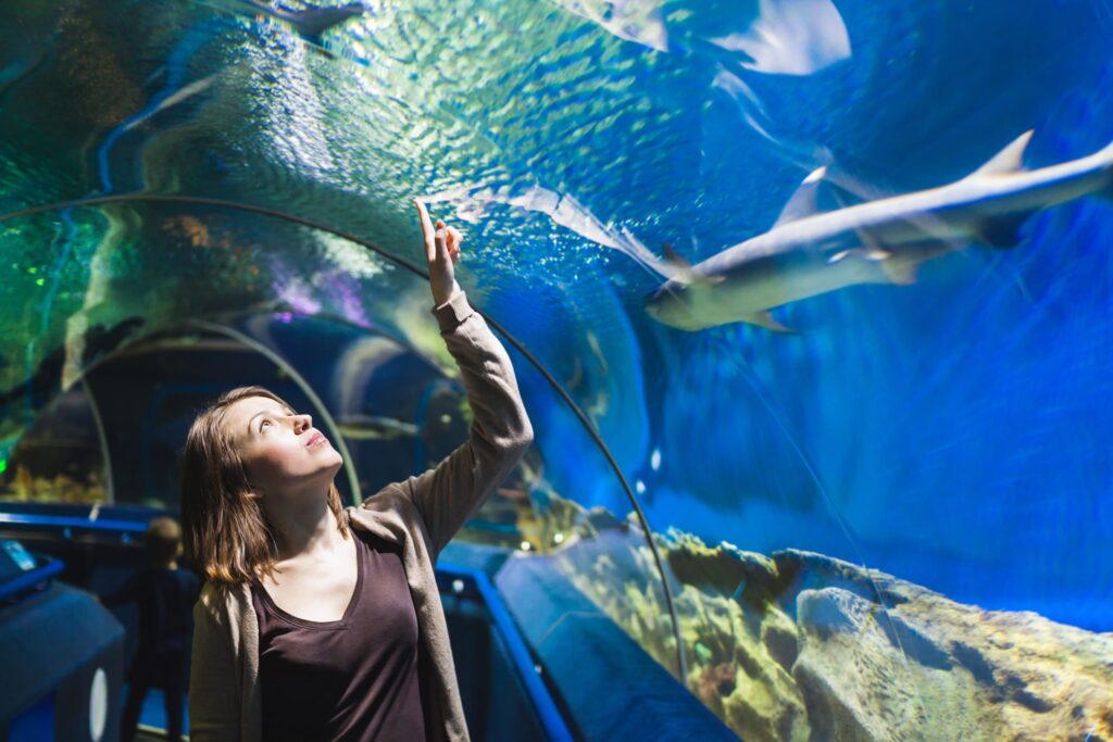 Zoos - Young girl in aquarium tunnel with sharks